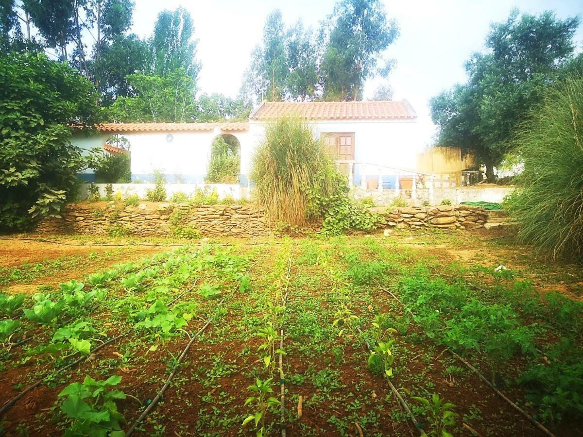 Villa Monte Dos Tres Pocos Cercal do Alentejo Exterior foto