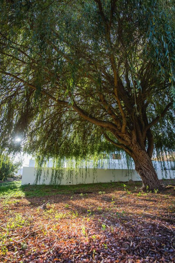 Villa Monte Dos Tres Pocos Cercal do Alentejo Exterior foto